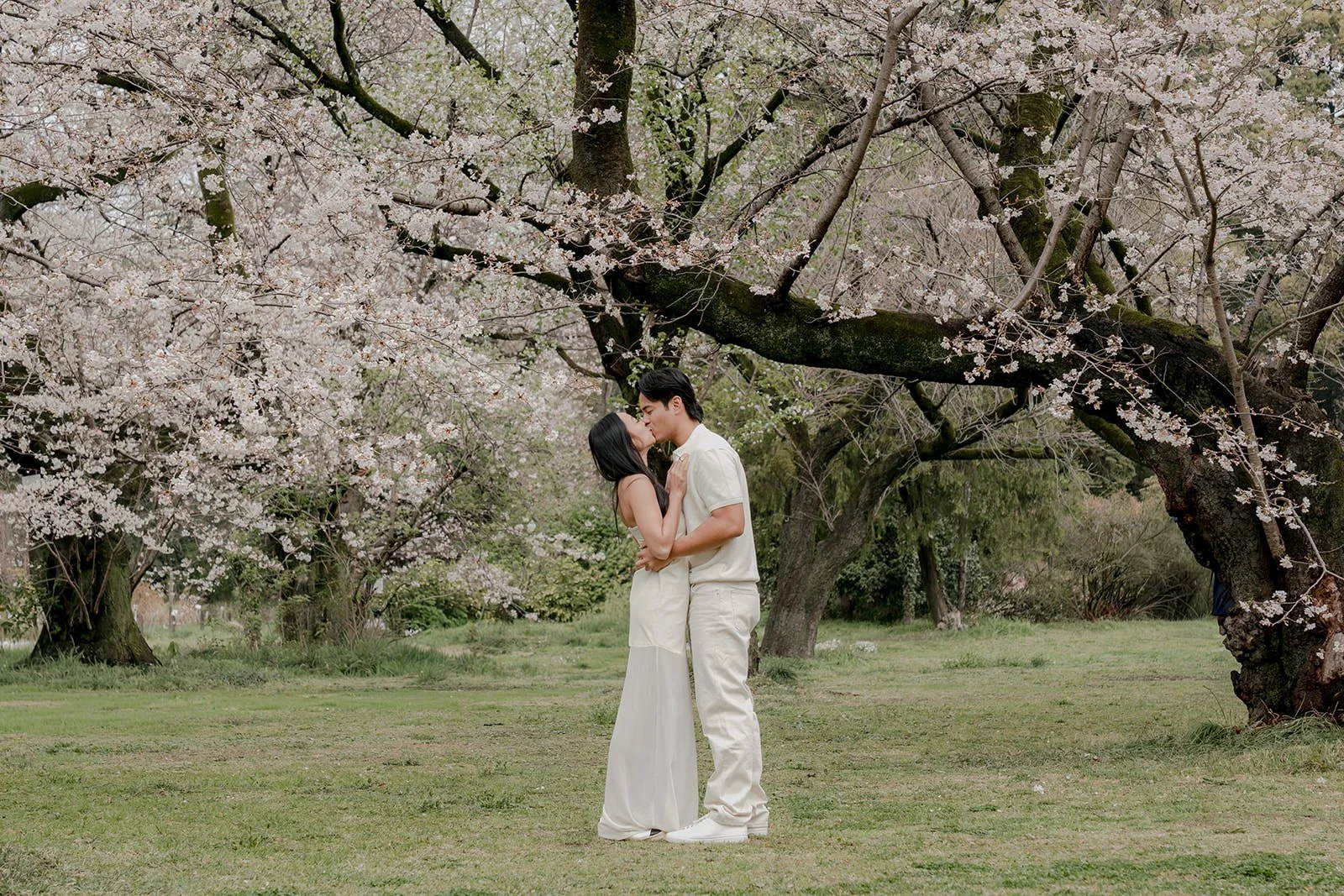 Portrait session after proposal Tokyo blossoms