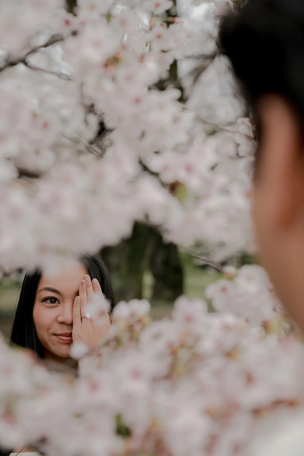 Couple portrait under cherry blossoms after proposal, Tokyo
