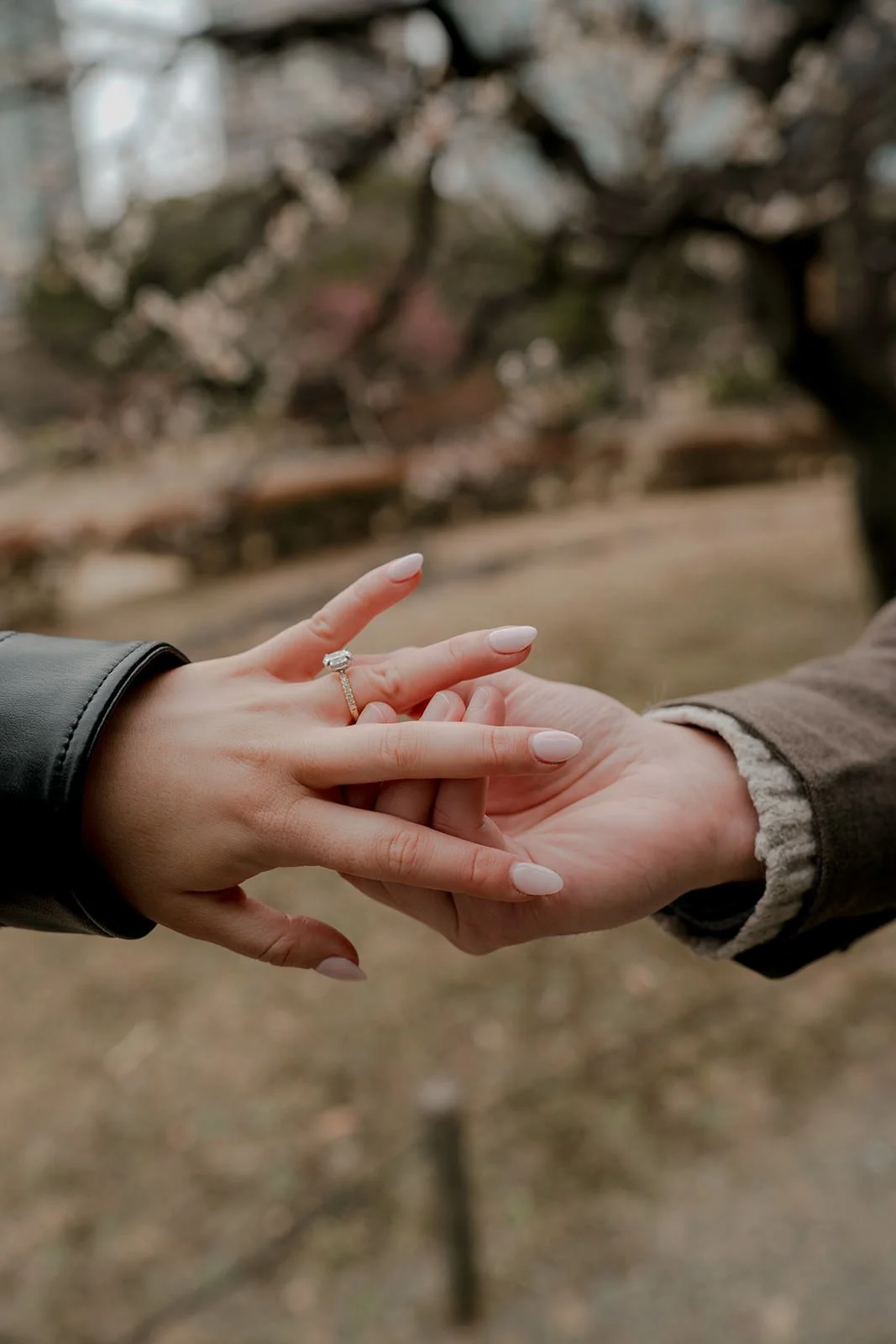 Engaged couple portrait Hamarikyu Gardens Tokyo