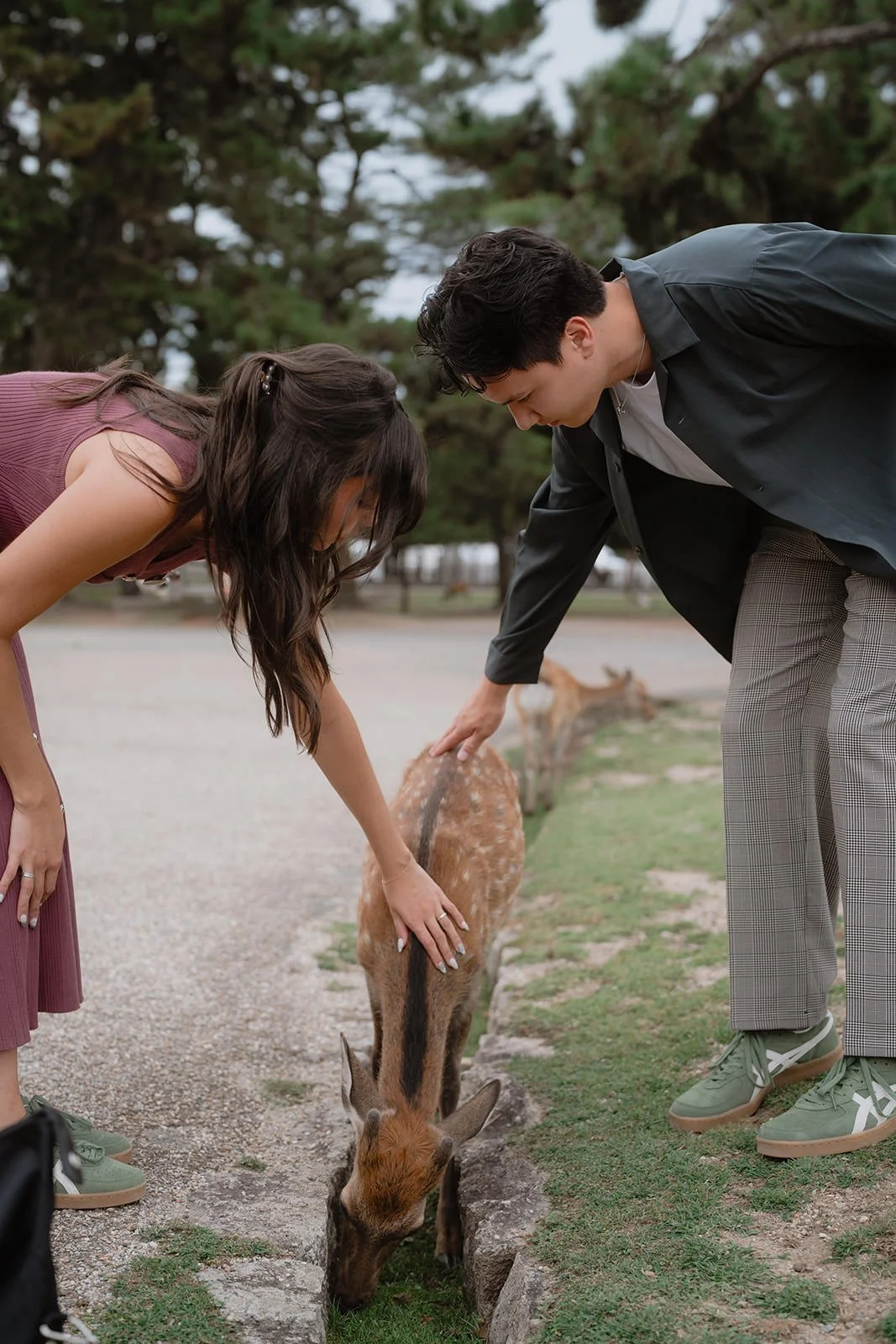 couples photoshoot nara park