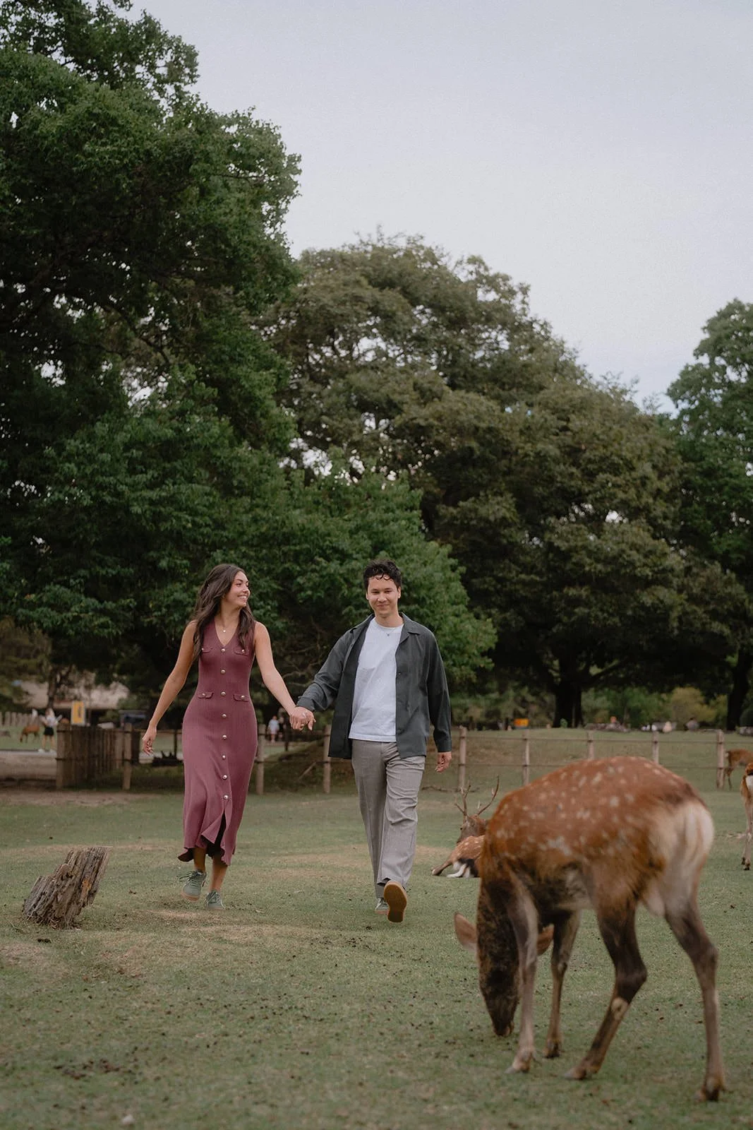 couples photoshoot nara park