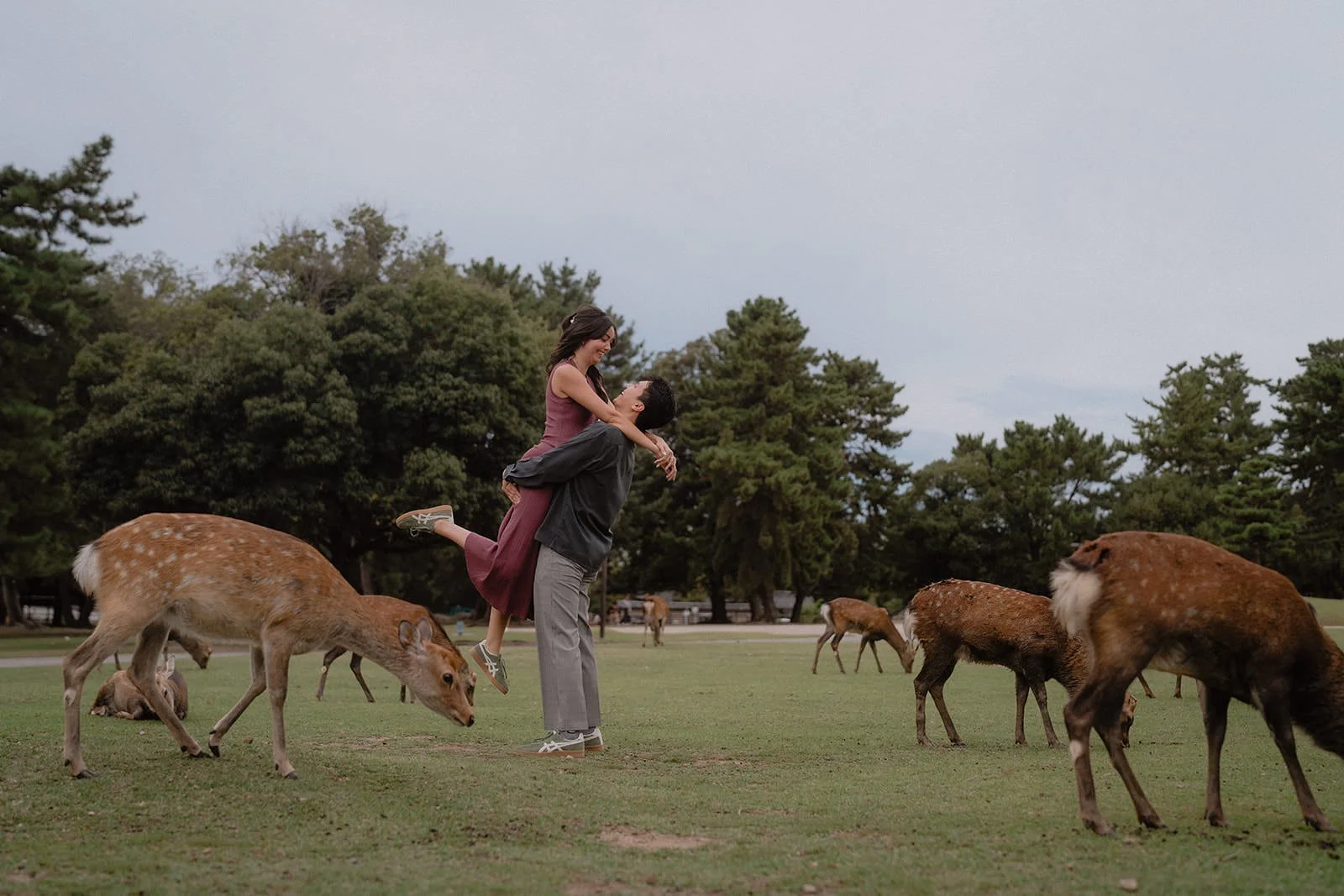 couples photoshoot nara park