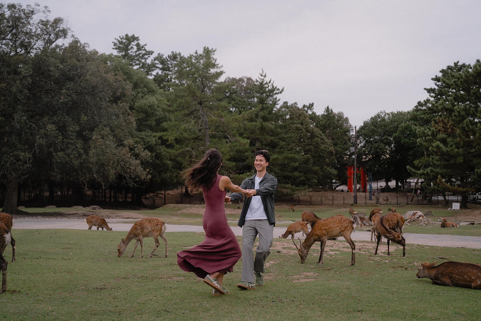 couples photoshoot nara park