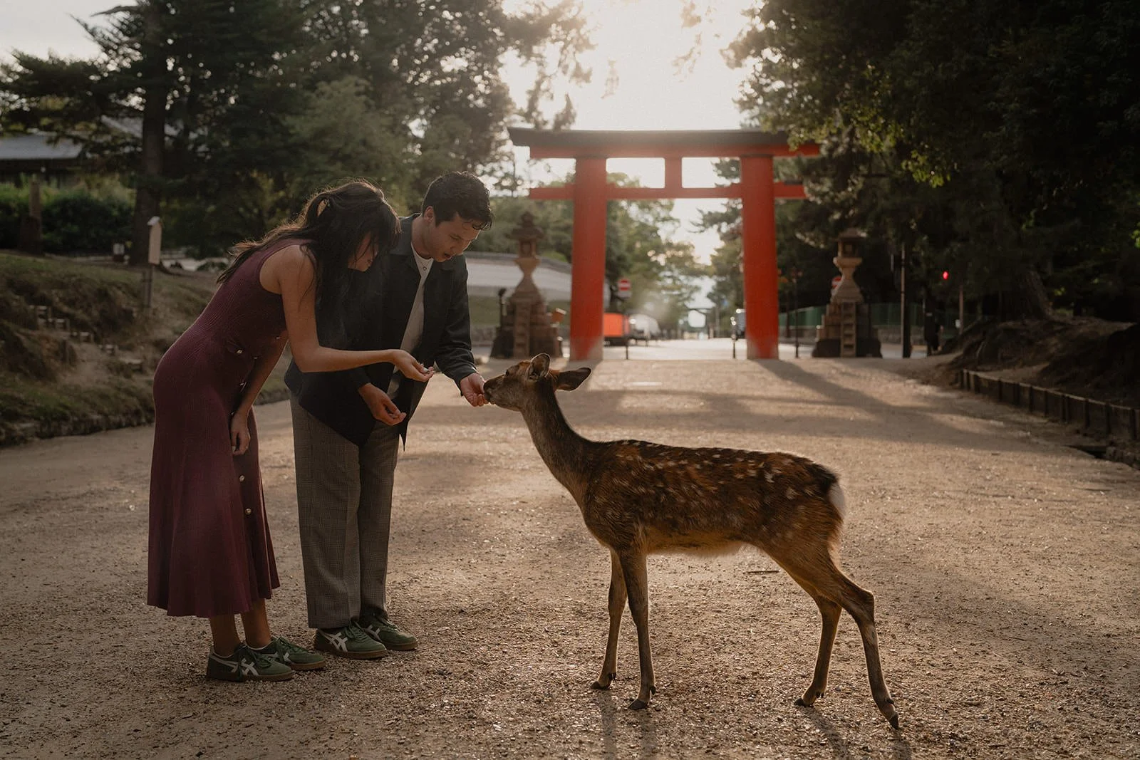 couples photoshoot nara park