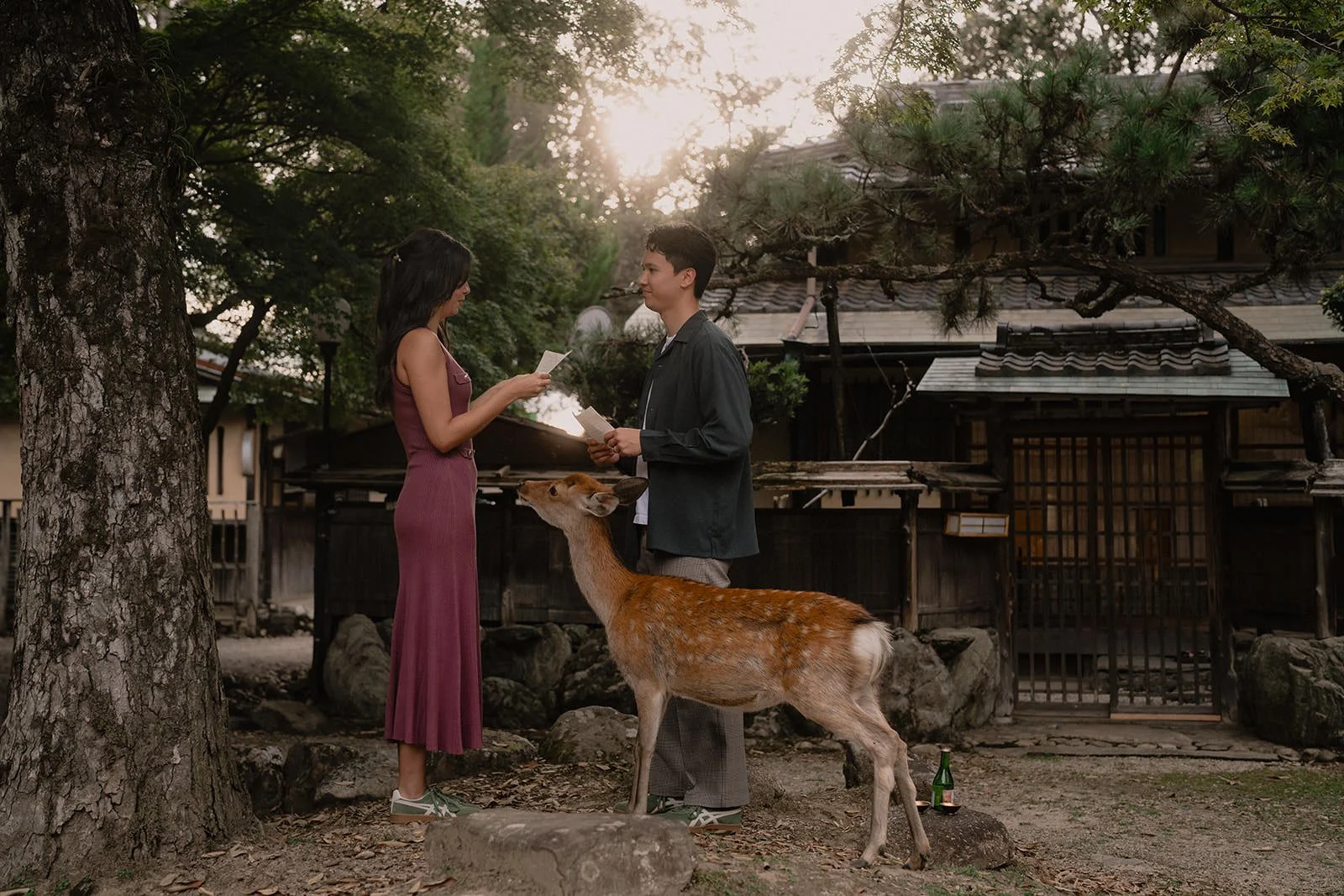 couples photoshoot nara park