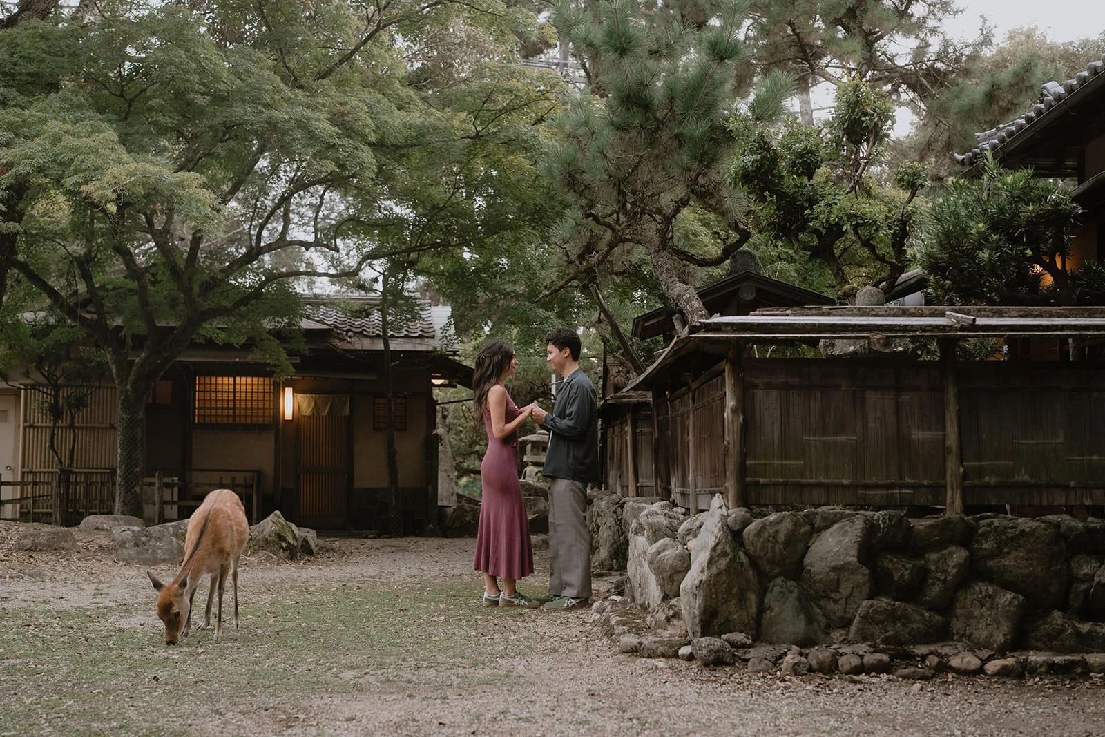 couples photoshoot nara park