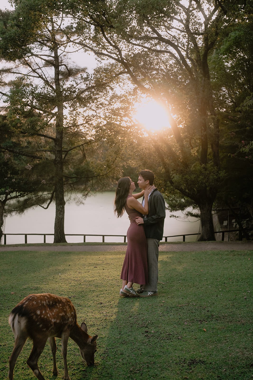 couples photoshoot nara park