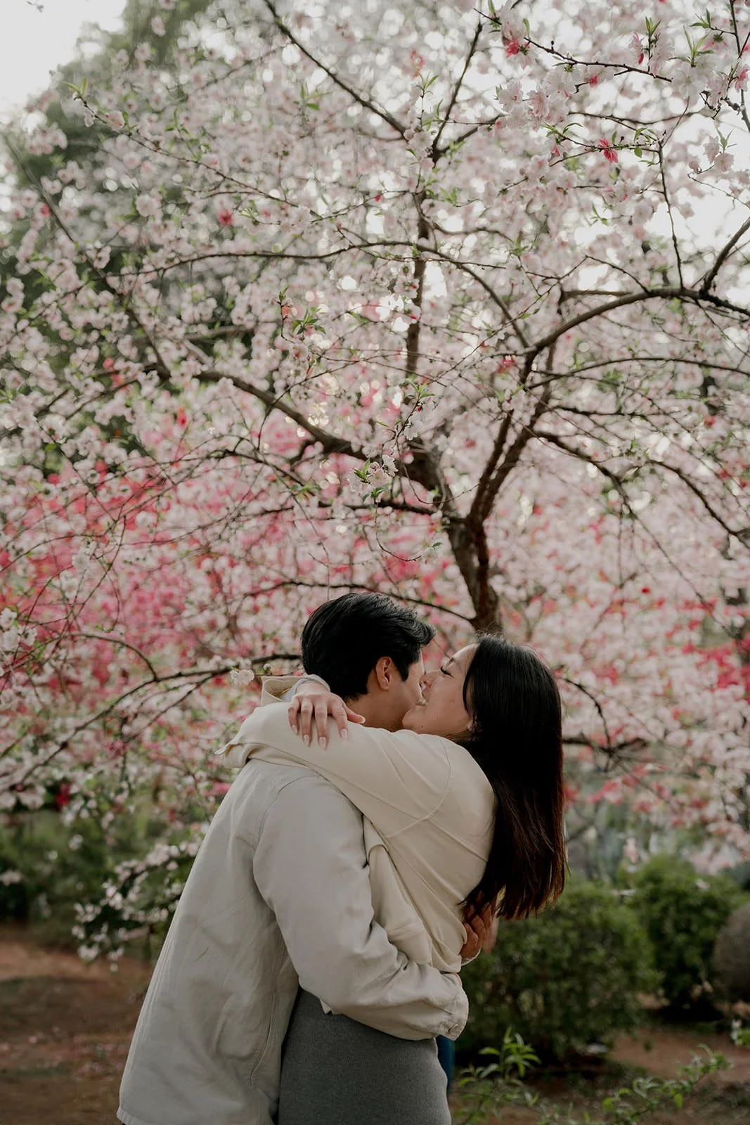 couples photoshoot shinjuku gyoen cherry blossom