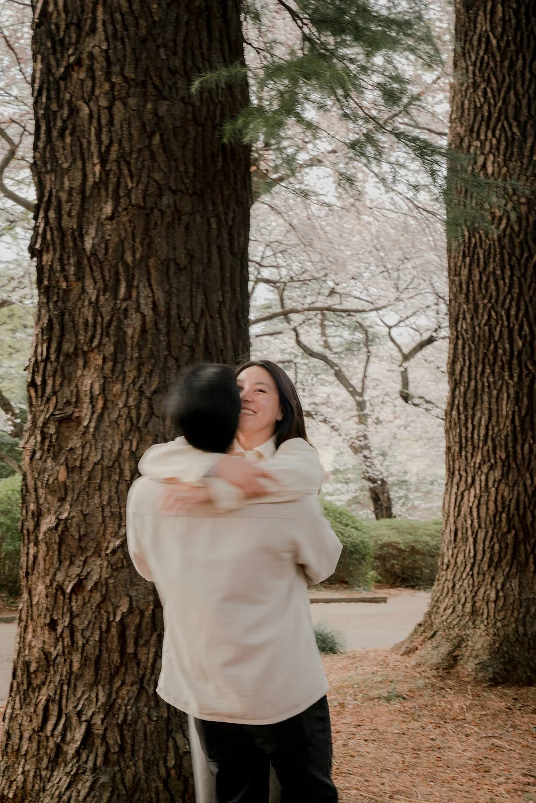 couples photoshoot shinjuku gyoen cherry blossom