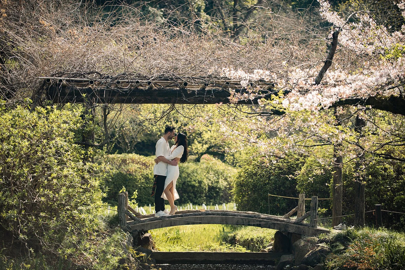 couples photoshoot tokyo cherry blossom