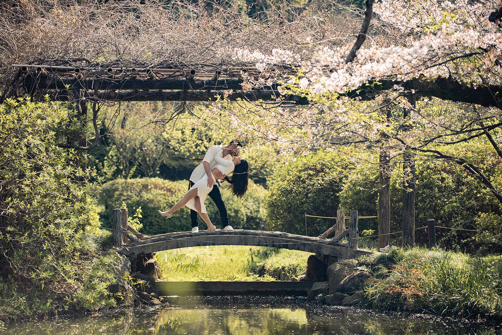 couples photoshoot tokyo cherry blossom