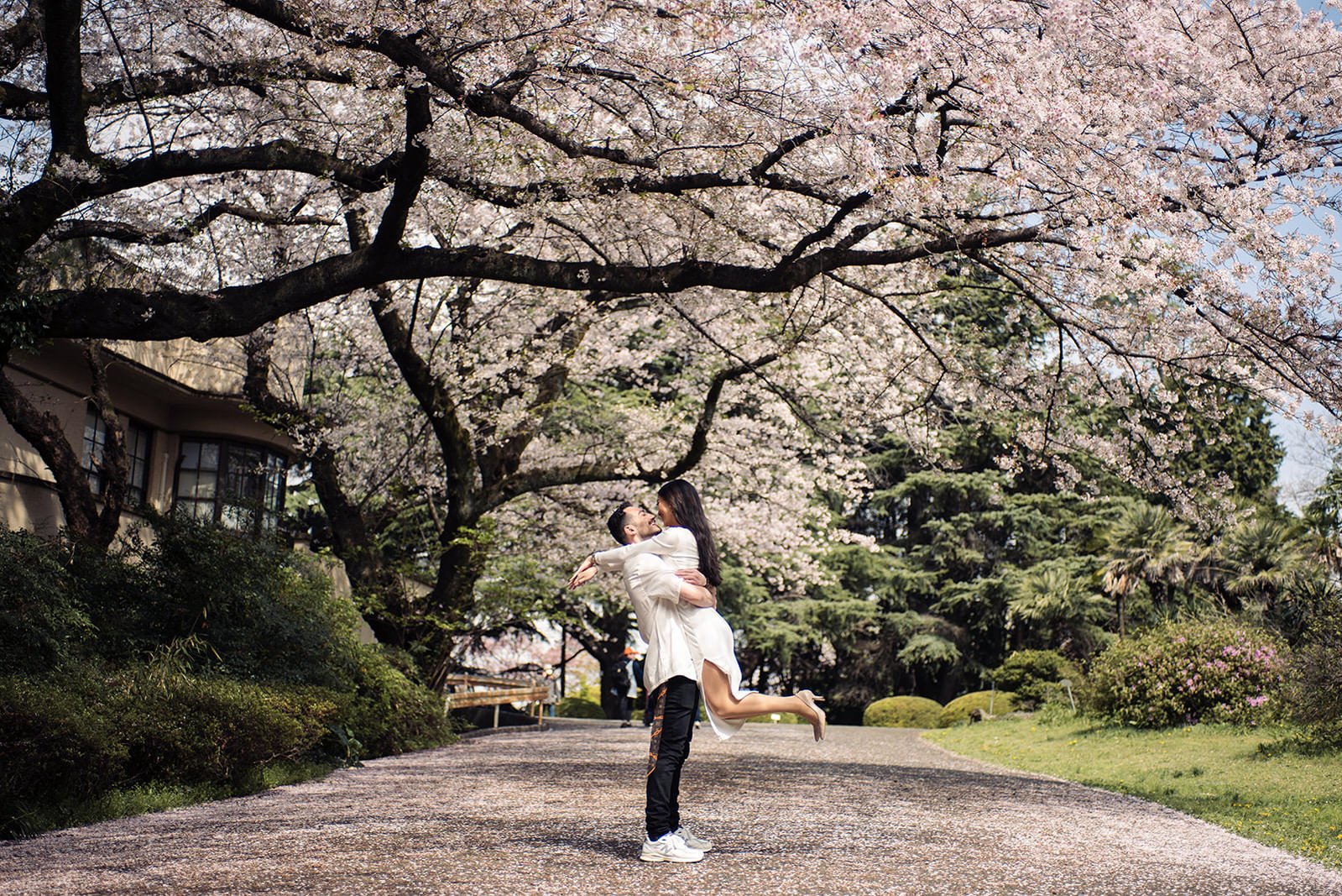 couples photoshoot tokyo cherry blossom