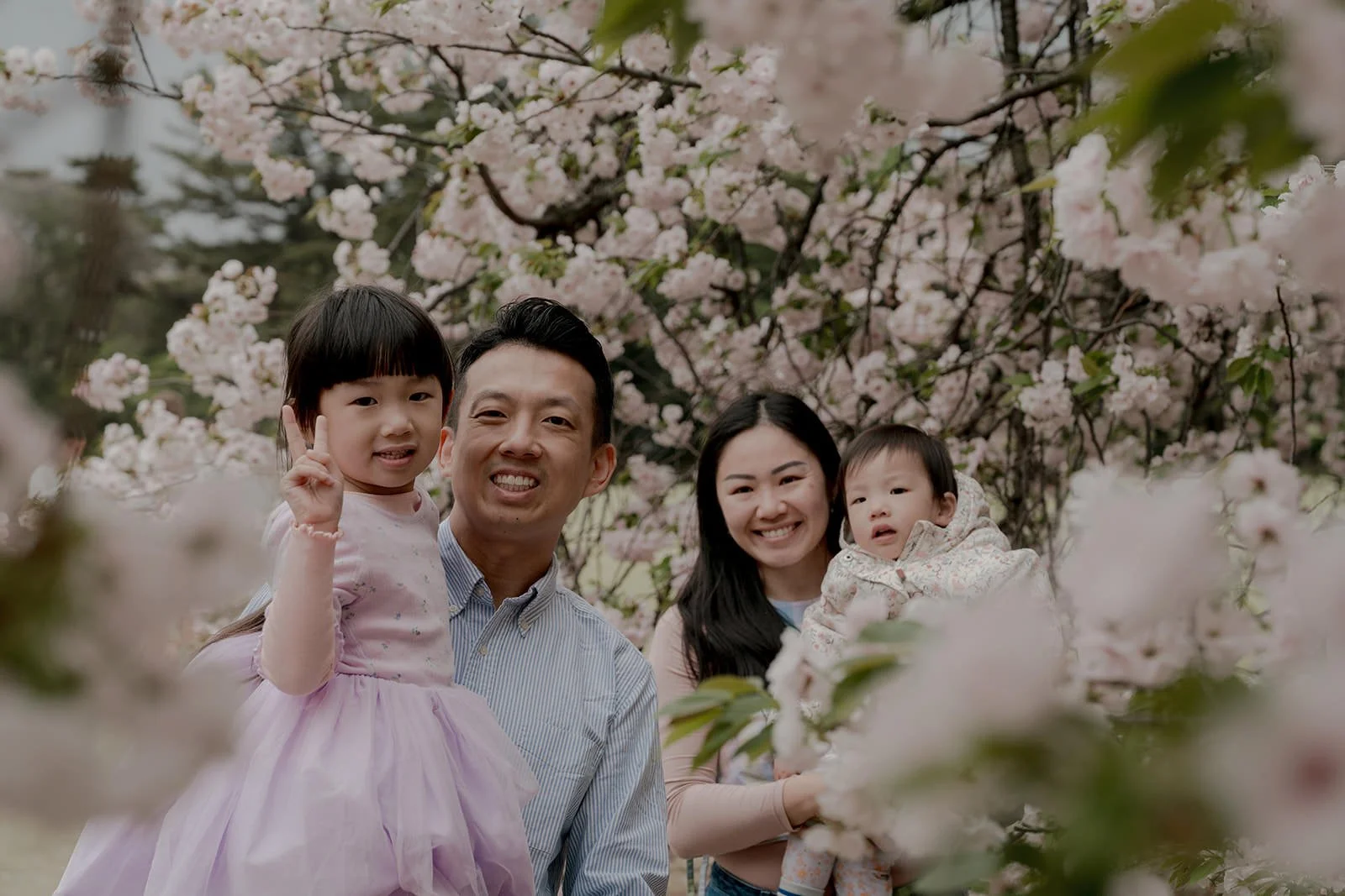 Family laughing together under cherry blossoms at Shinjuku Gyoen