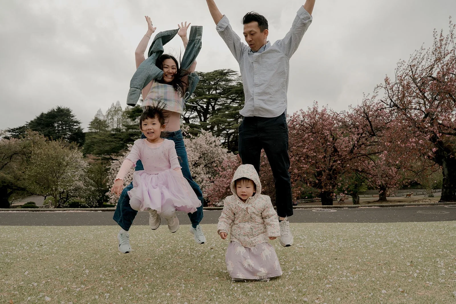 Parents holding children under pink cherry blossoms, Shinjuku Gyoen