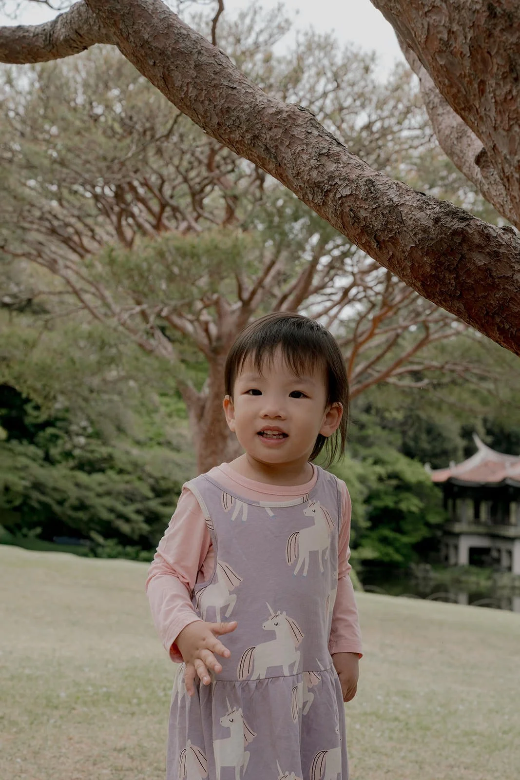 Family hugging under cherry blossom canopy, Shinjuku Gyoen