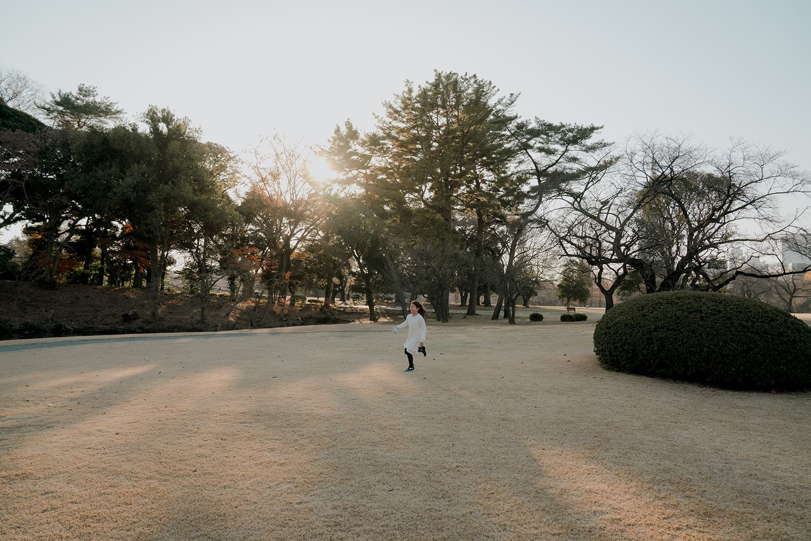 family photoshoot shinjuku gyoen sunset