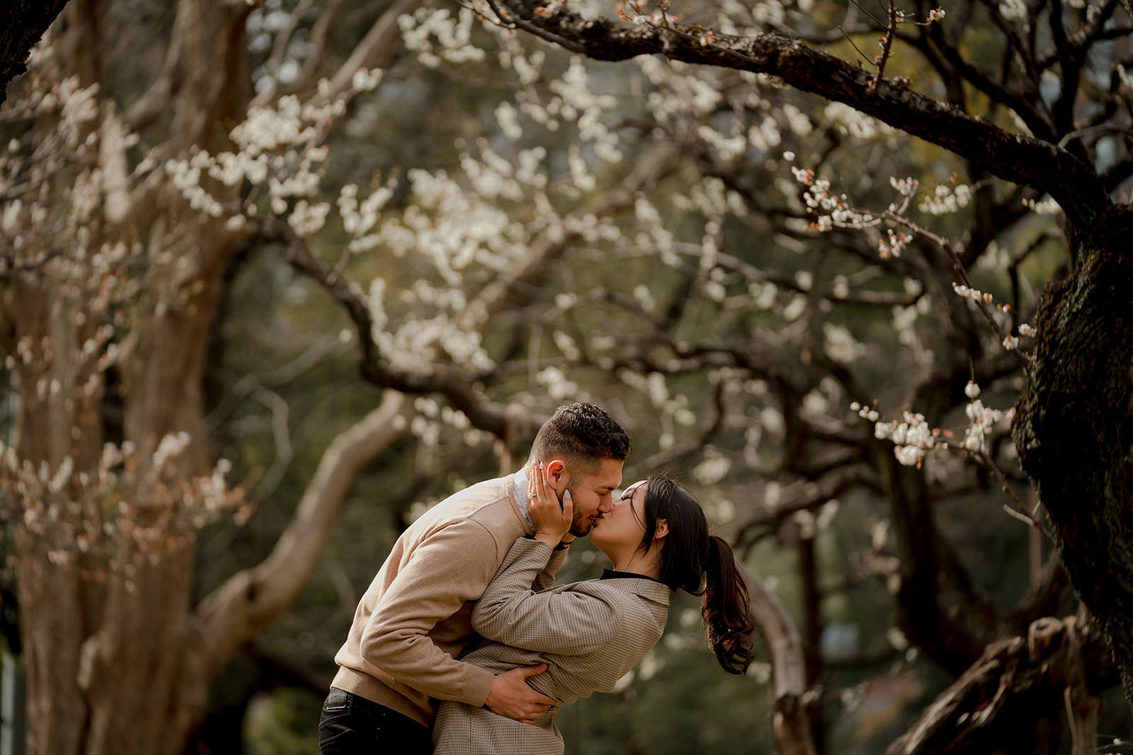 Couples photoshoot among plum blossoms in Tokyo