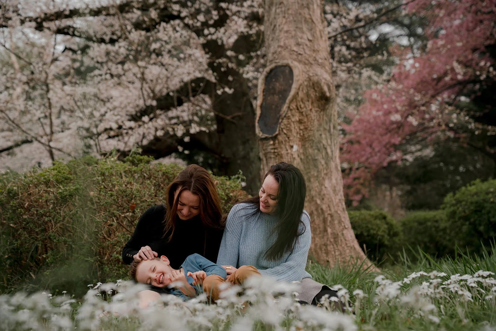 Family photoshoot under cherry blossoms at Shinjuku Gyoen, Tokyo