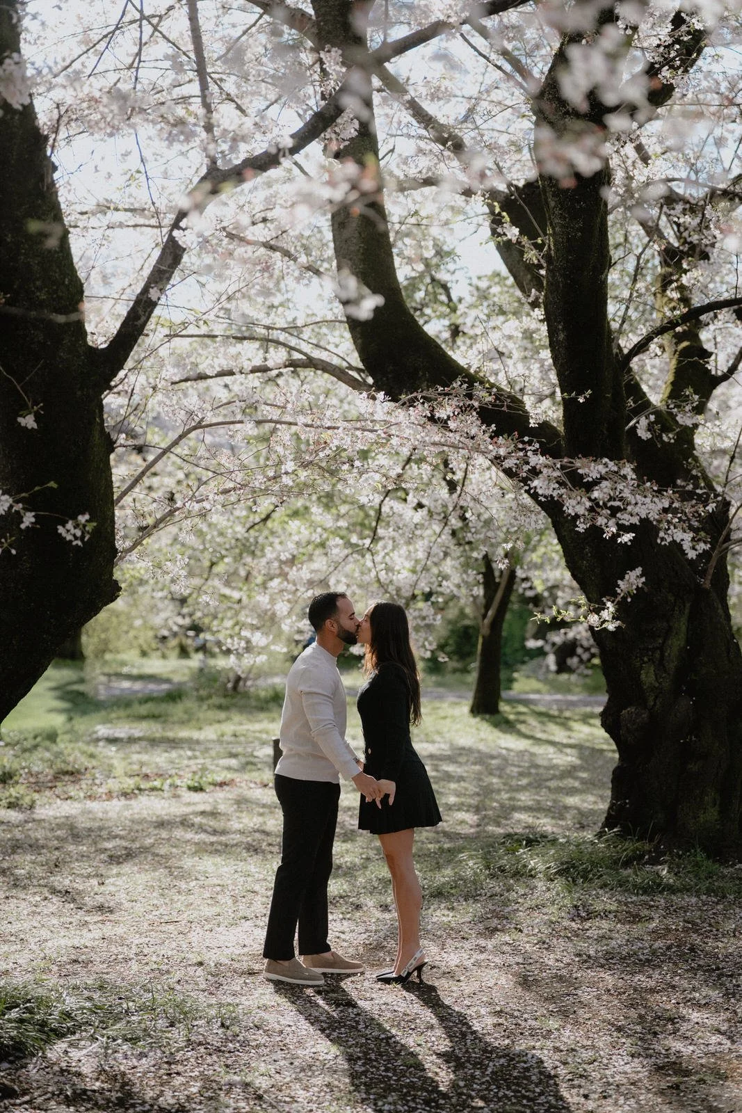 Cherry blossom proposal photoshoot Tokyo sunset, photo 1