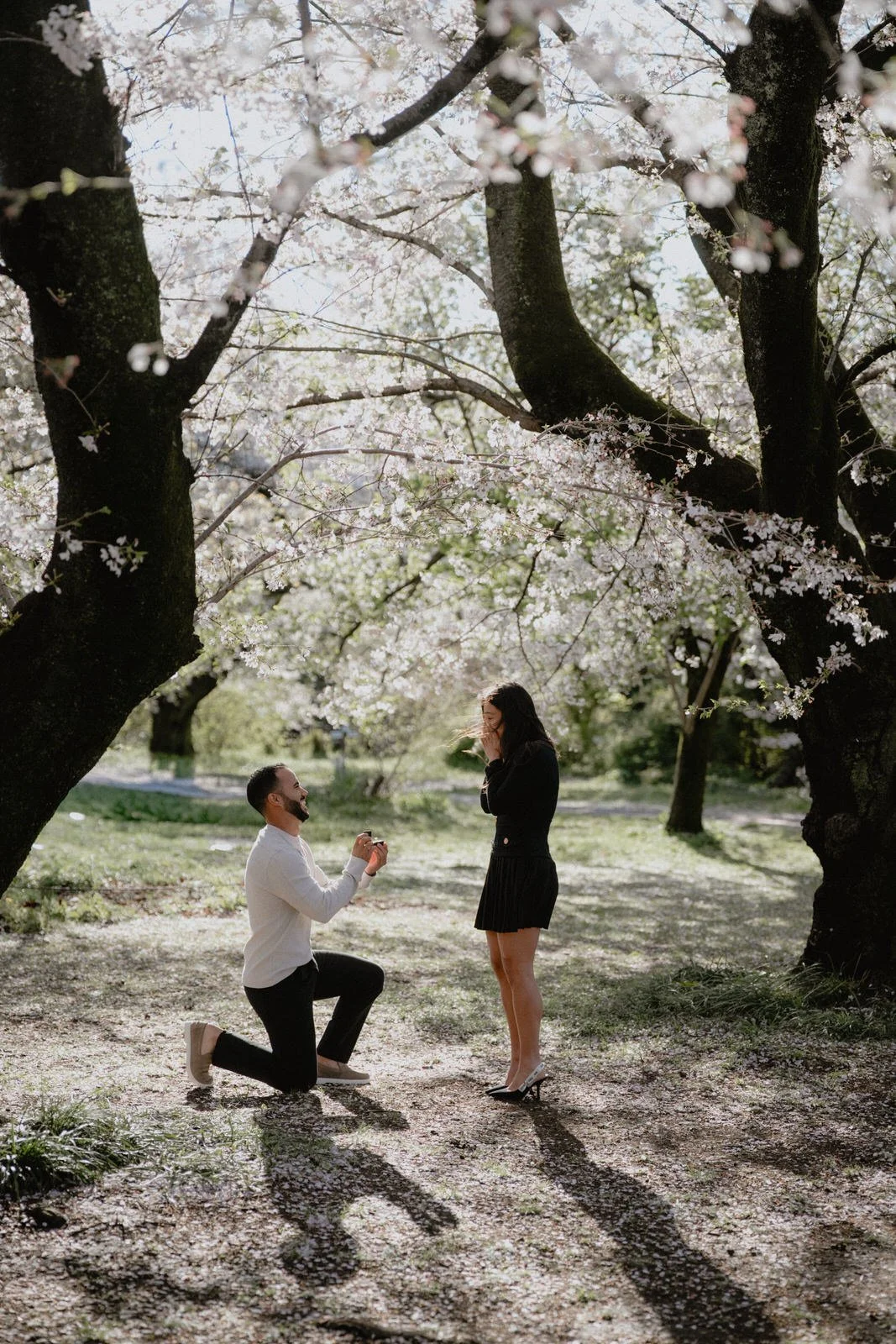 Cherry blossom proposal photoshoot Tokyo sunset, photo 5
