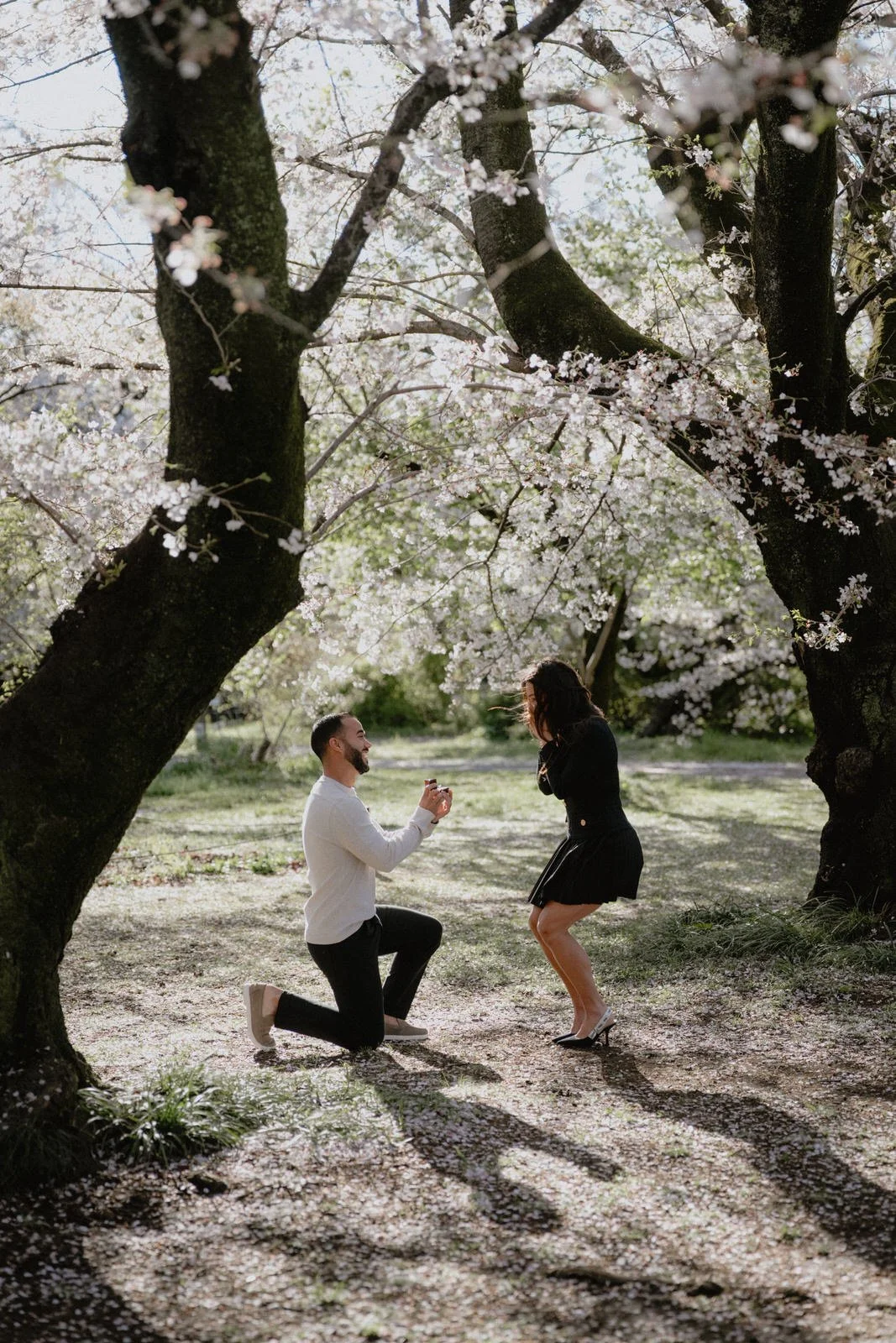 Cherry blossom proposal photoshoot Tokyo sunset, photo 6