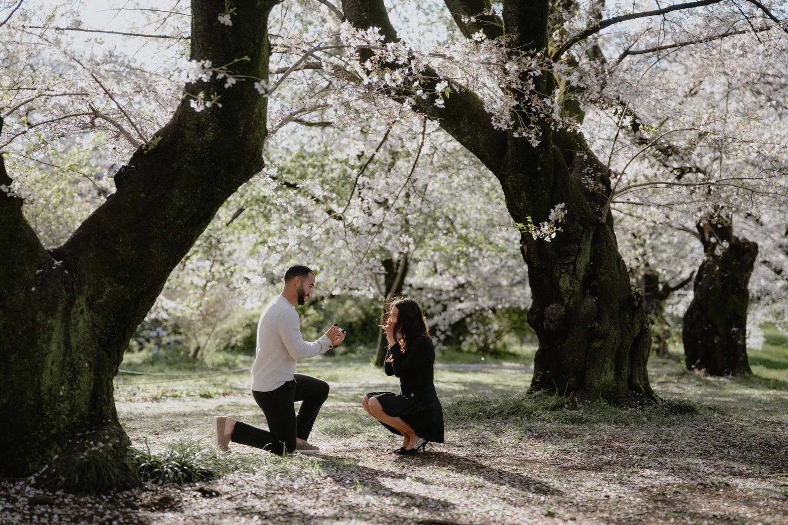 Best Places to Propose in Japan: Tokyo, Kyoto, Mount Fuji and Beyond