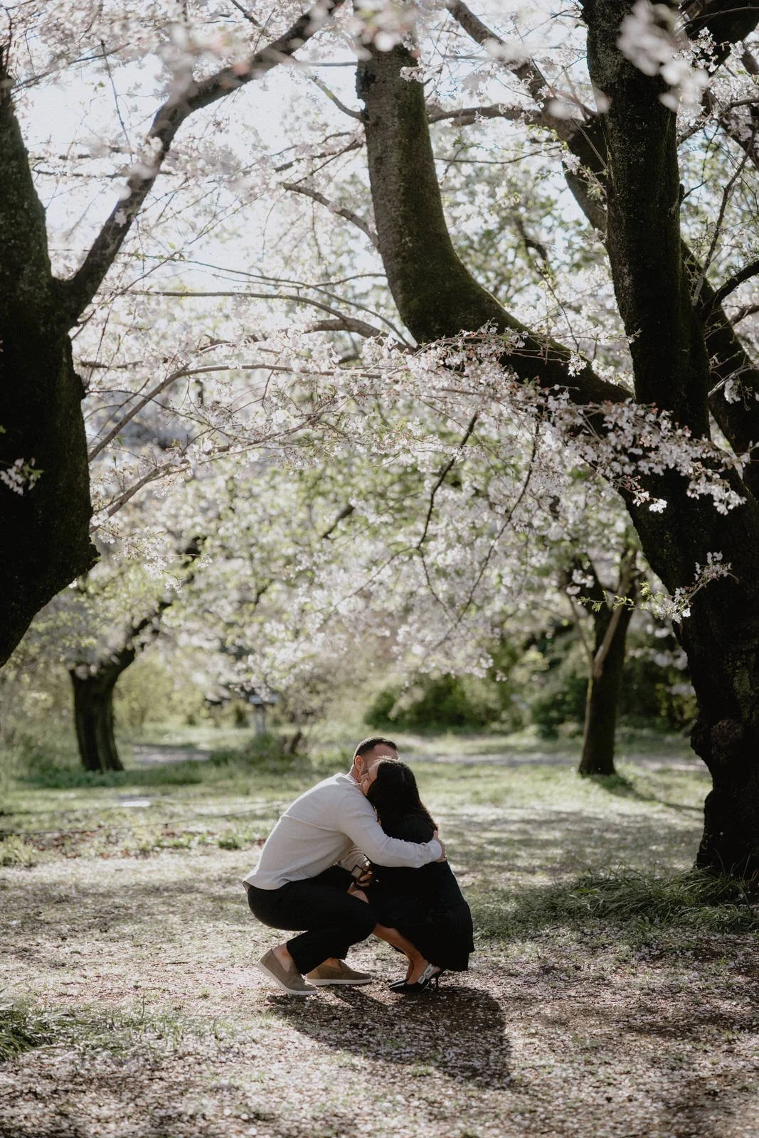 Cherry blossom proposal photoshoot Tokyo sunset, photo 8