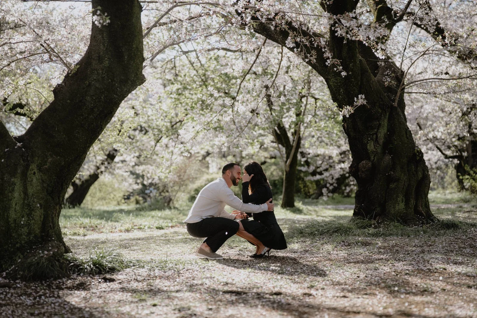 Cherry blossom proposal photoshoot Tokyo sunset, photo 9