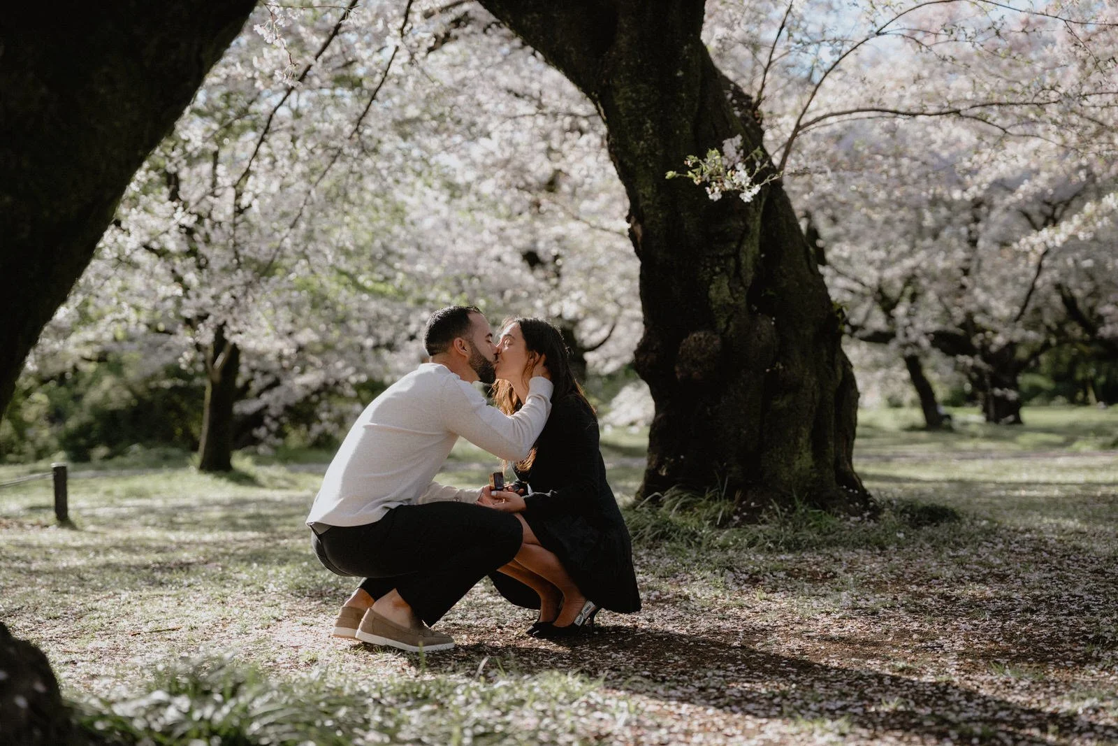 Cherry blossom proposal photoshoot Tokyo sunset, photo 10
