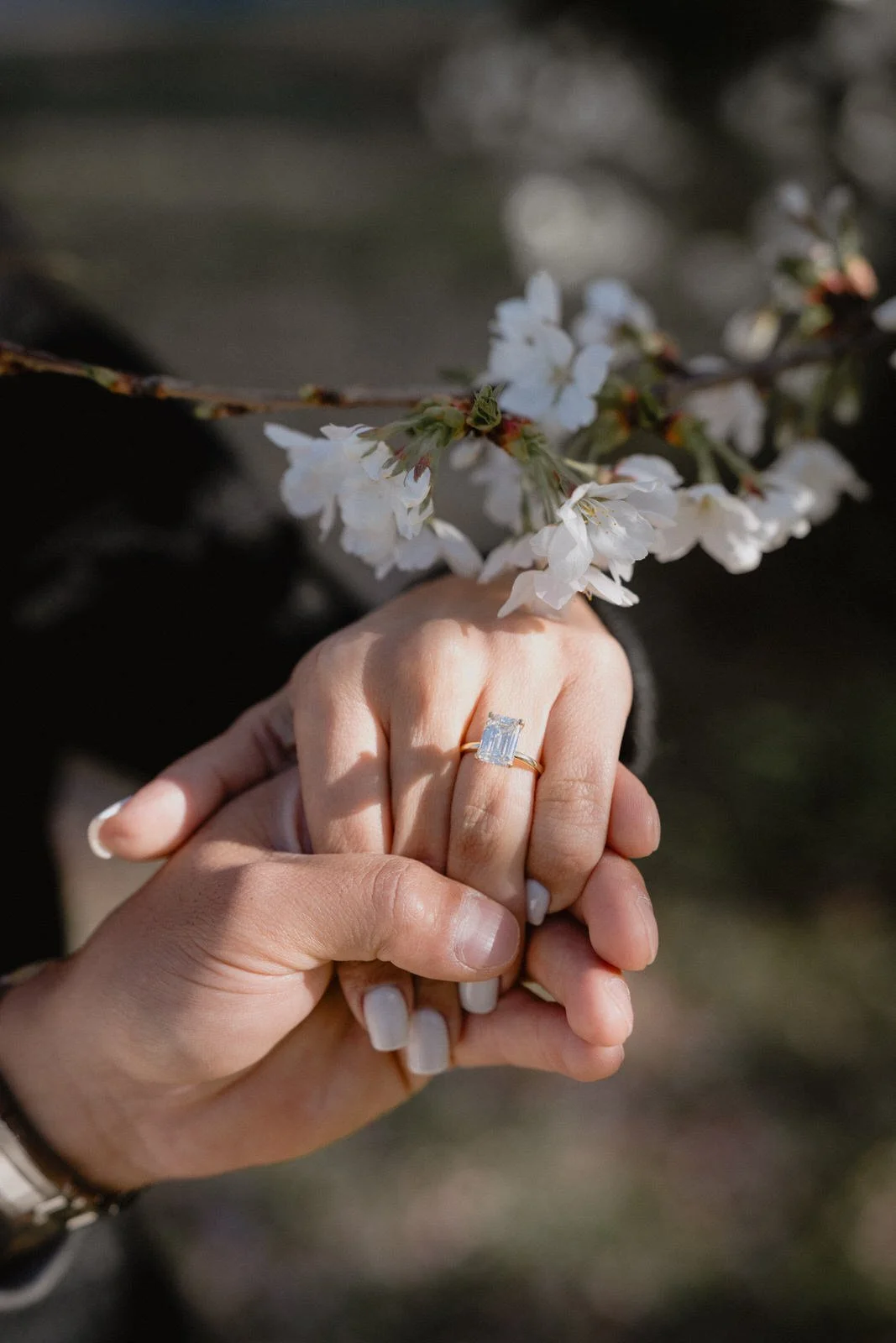 Cherry blossom proposal photoshoot Tokyo sunset, photo 15