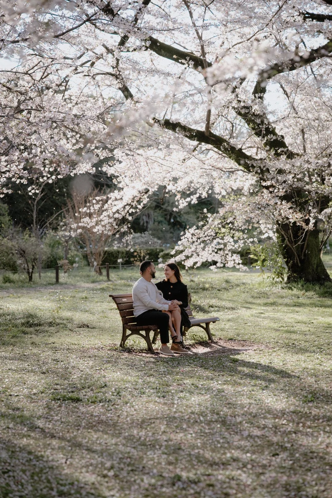 Cherry blossom proposal photoshoot Tokyo sunset, photo 22