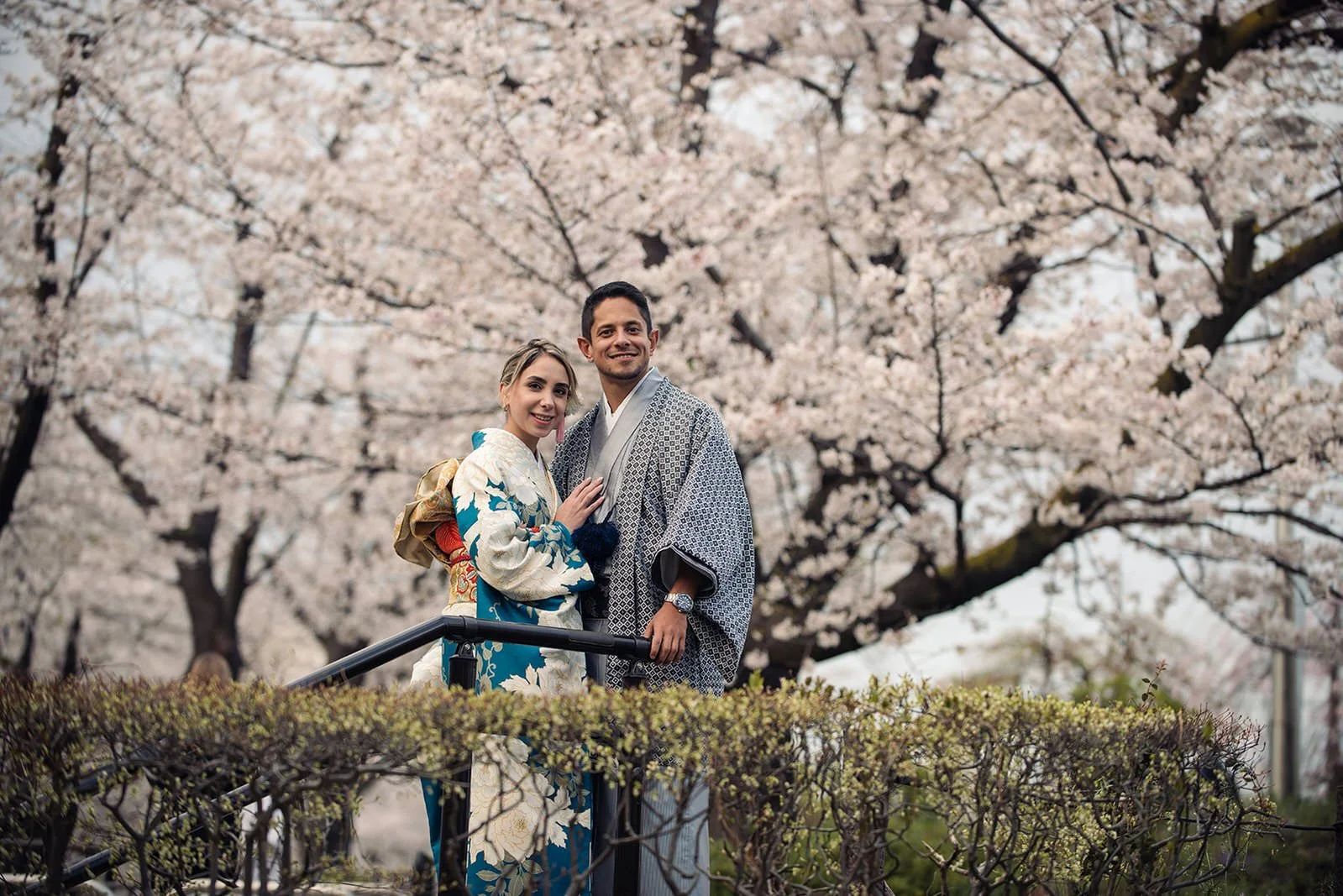 Kimono proposal photoshoot cherry blossoms Sumida Koen Tokyo, photo 4