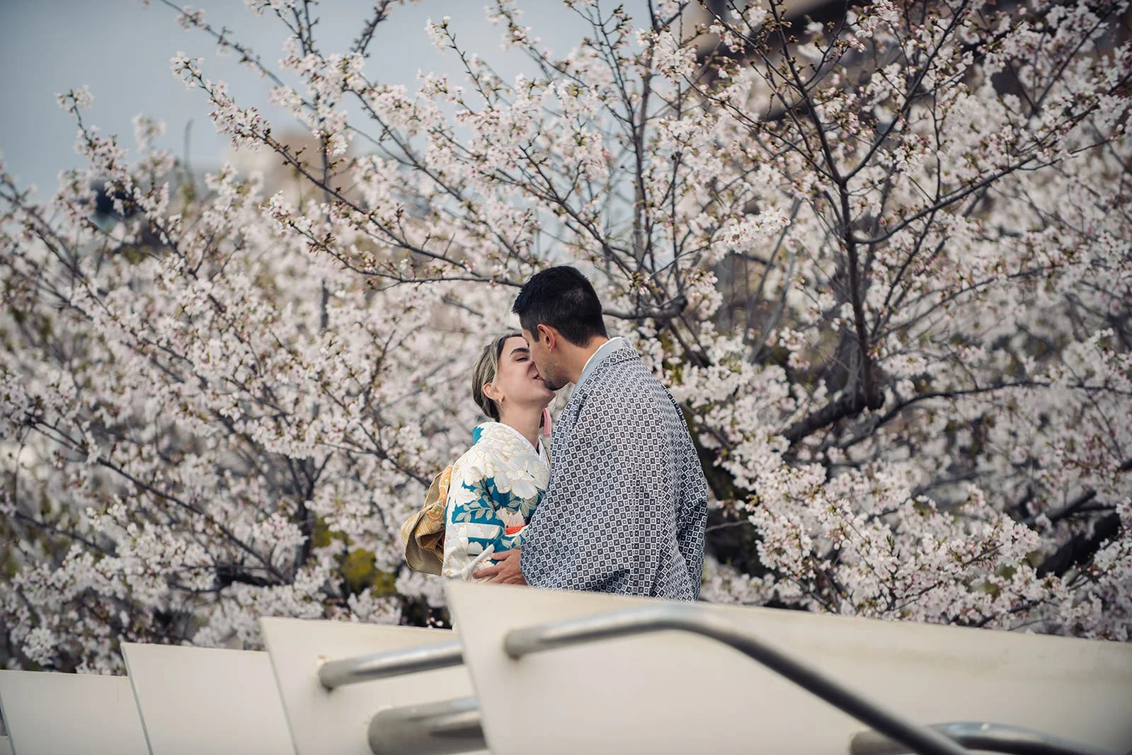 Kimono proposal photoshoot cherry blossoms Sumida Koen Tokyo, photo 7