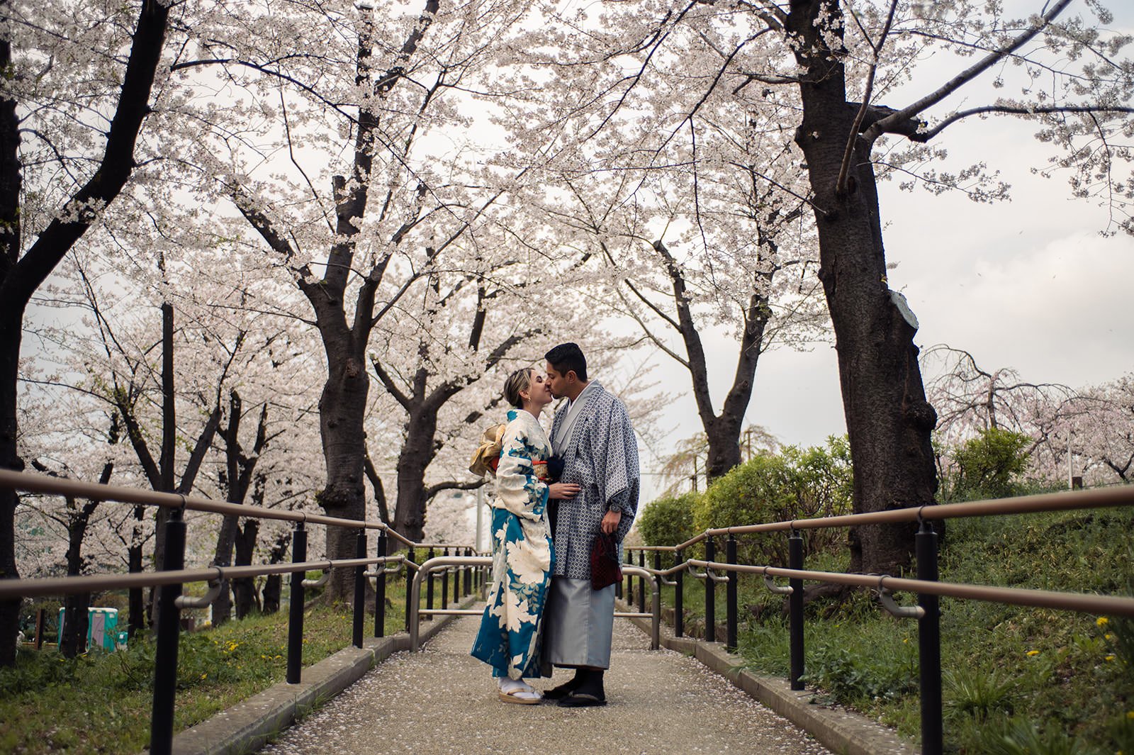 Kimono proposal photoshoot cherry blossoms Sumida Koen Tokyo, photo 12