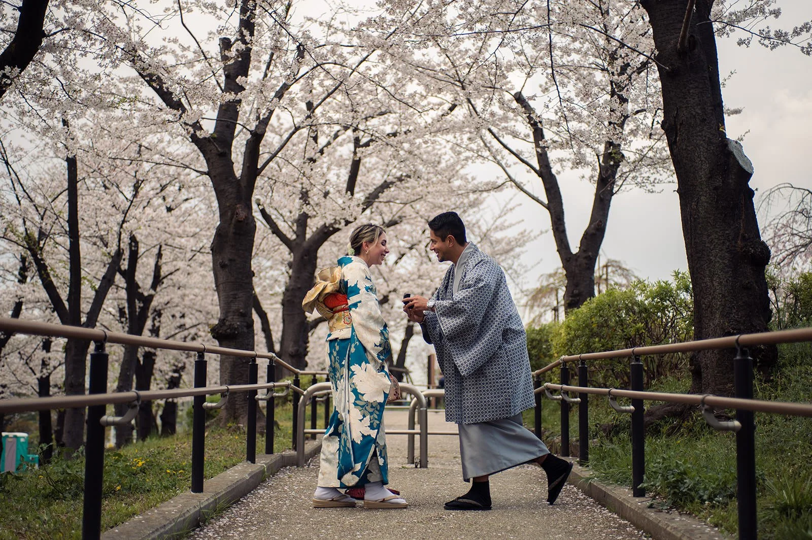 Kimono proposal photoshoot cherry blossoms Sumida Koen Tokyo, photo 14