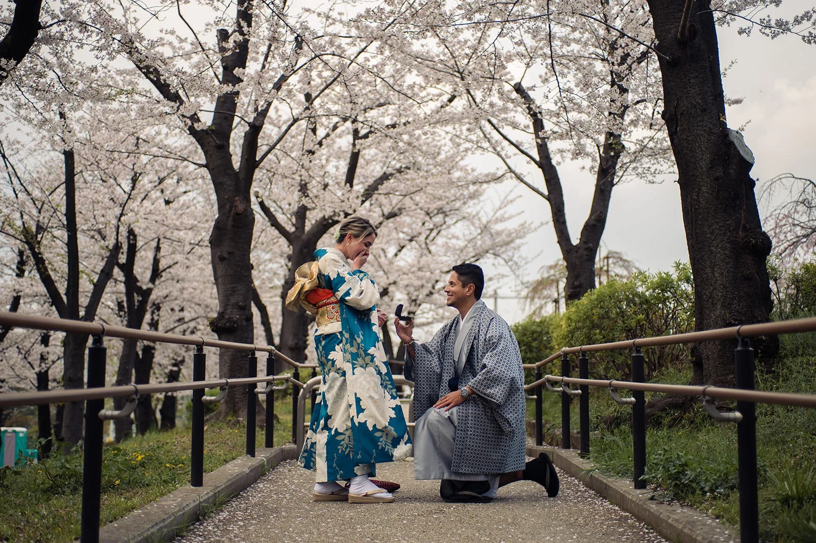 Kimono proposal photoshoot among cherry blossoms, Sumida Koen Tokyo