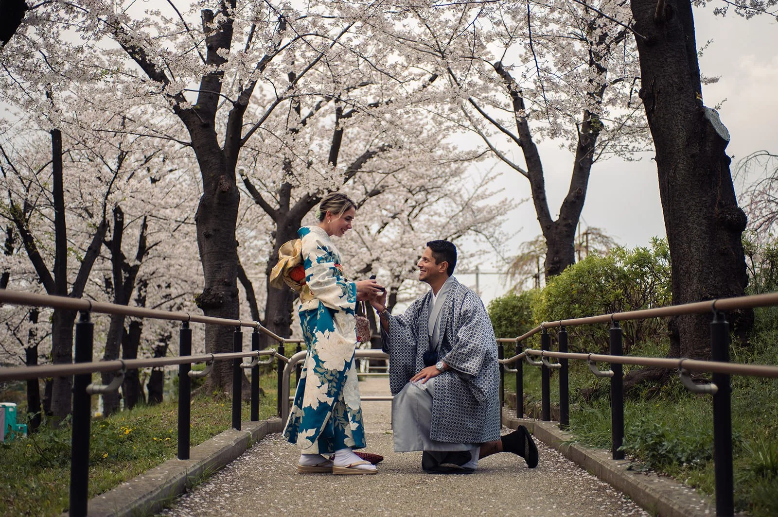 Kimono proposal photoshoot cherry blossoms Sumida Koen Tokyo, photo 17