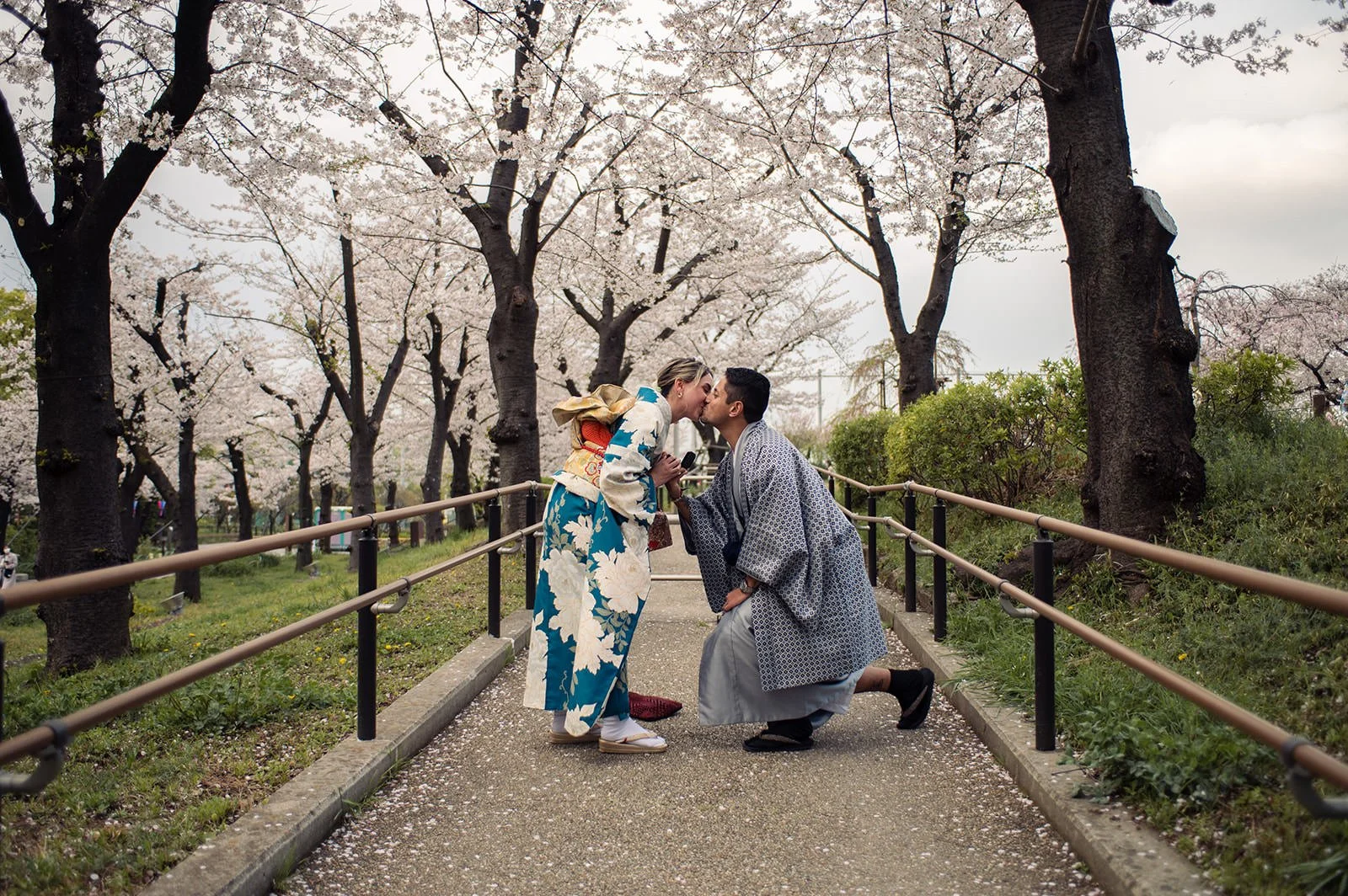 Kimono proposal photoshoot cherry blossoms Sumida Koen Tokyo, photo 18
