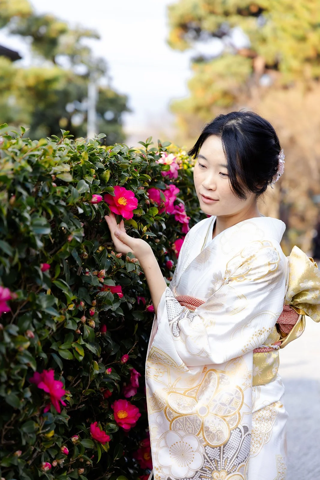 Kimono proposal photoshoot at Maruyama Koen, Kyoto
