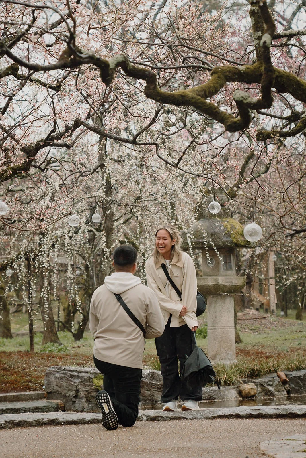 Proposal photoshoot at Kitano Tenmangu in plum blossoms and rain, Kyoto