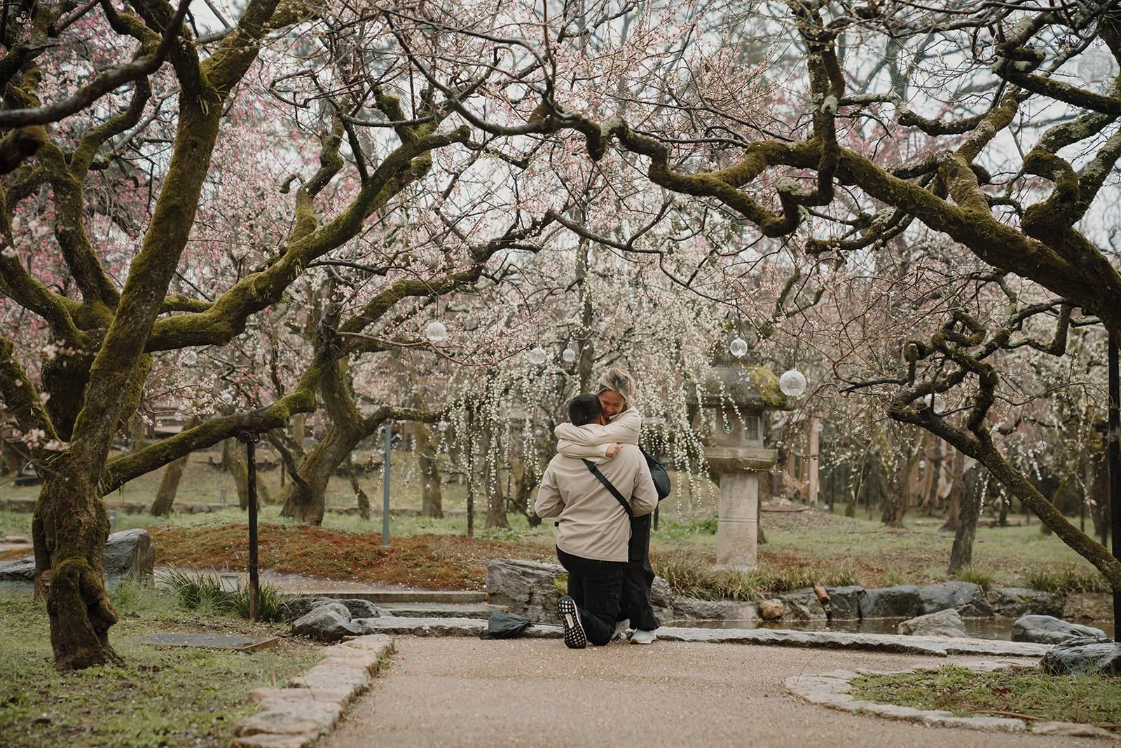 Couple under umbrella Kitano Tenmangu plum blossoms
