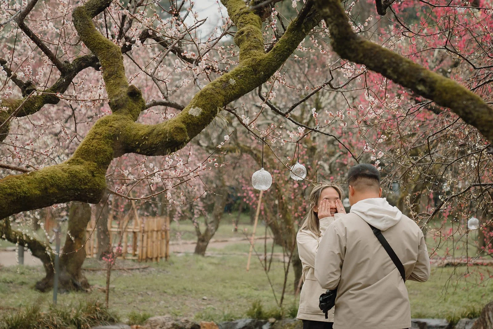 Winter proposal photography Kyoto plum garden