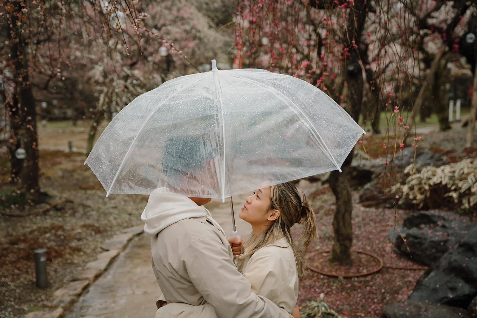 Rainy proposal Kyoto plum blossoms winter