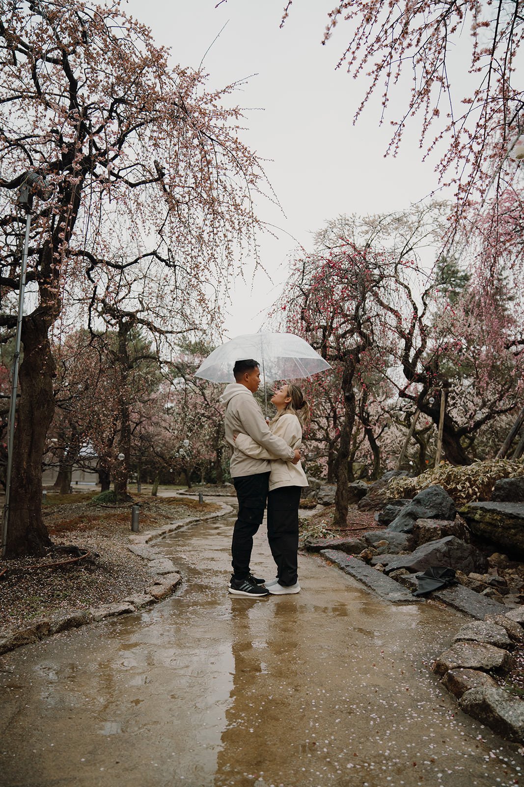 Engaged couple Kitano Tenmangu plum blossoms