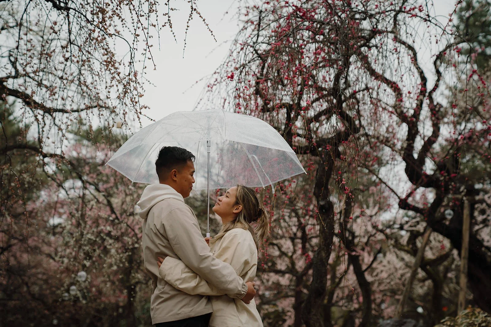 Proposal photography Kyoto winter plum garden