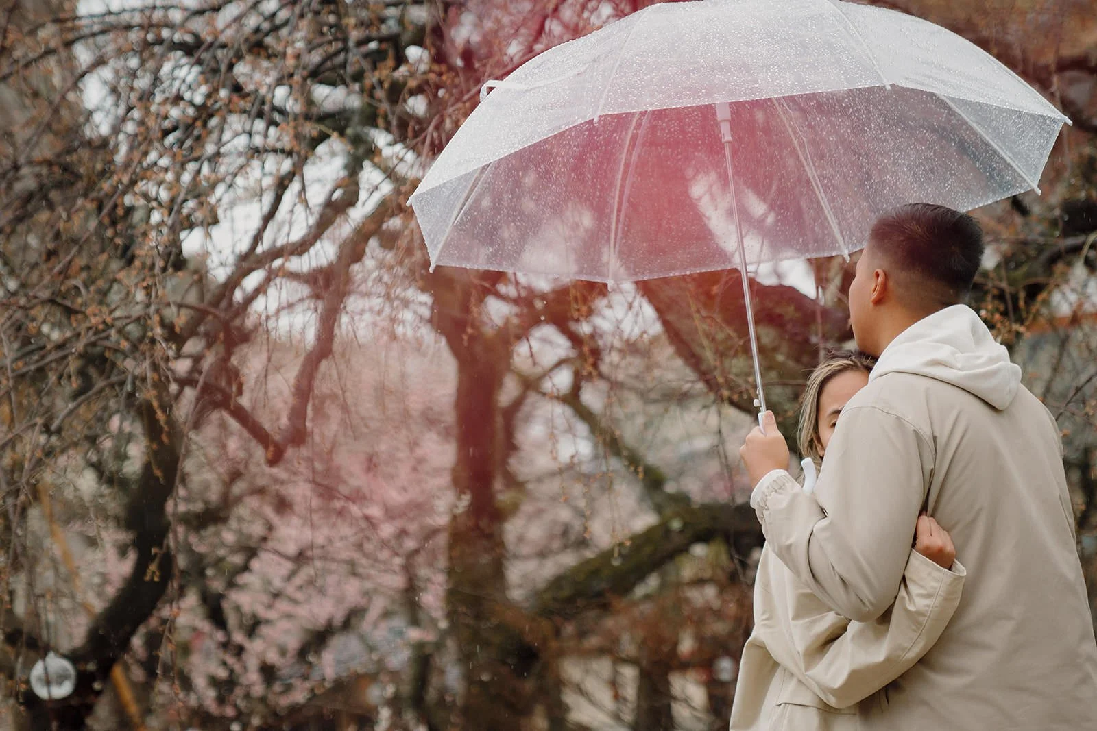Winter proposal photography plum grove Kyoto