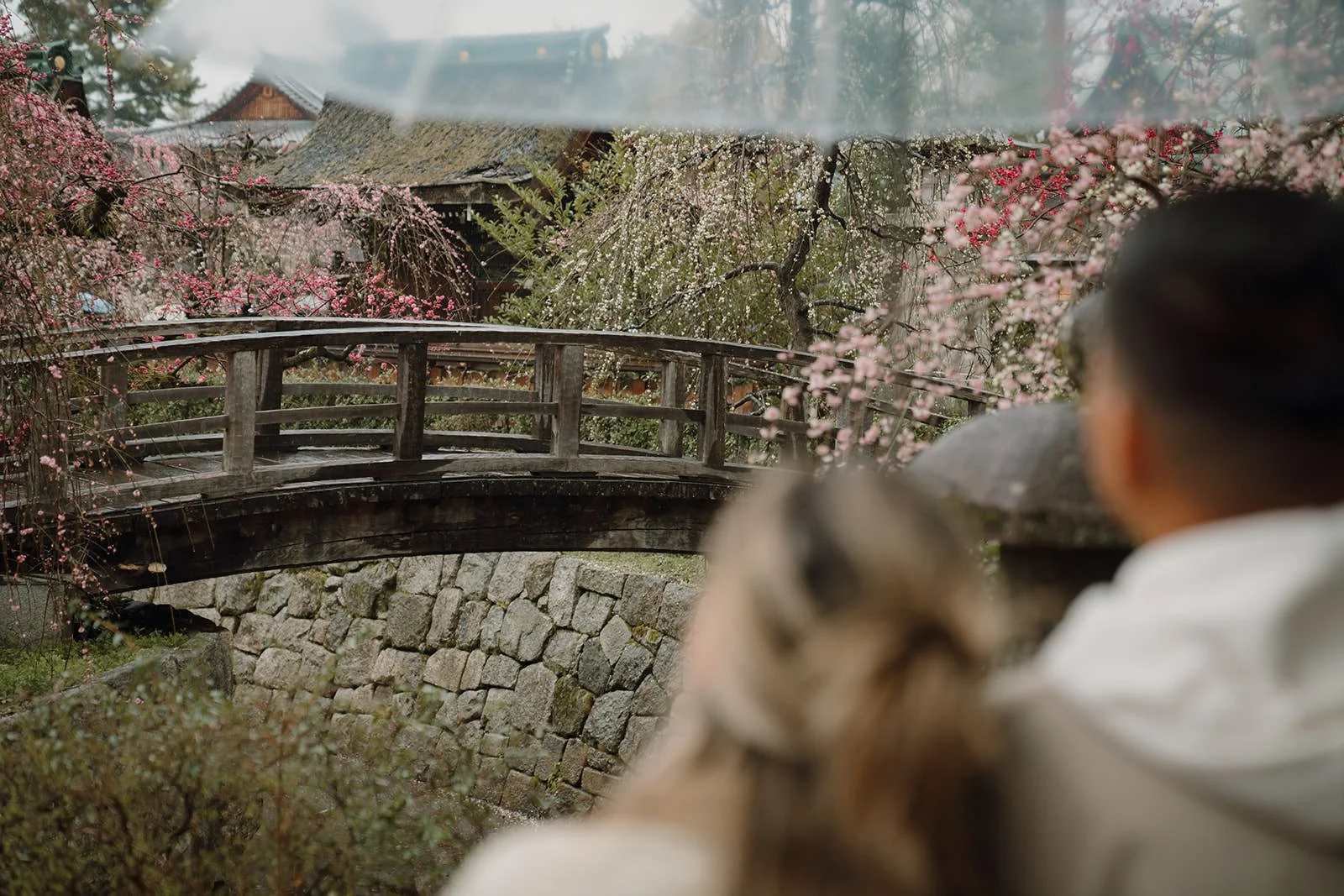 Engaged couple Kitano Tenmangu plum blossoms winter