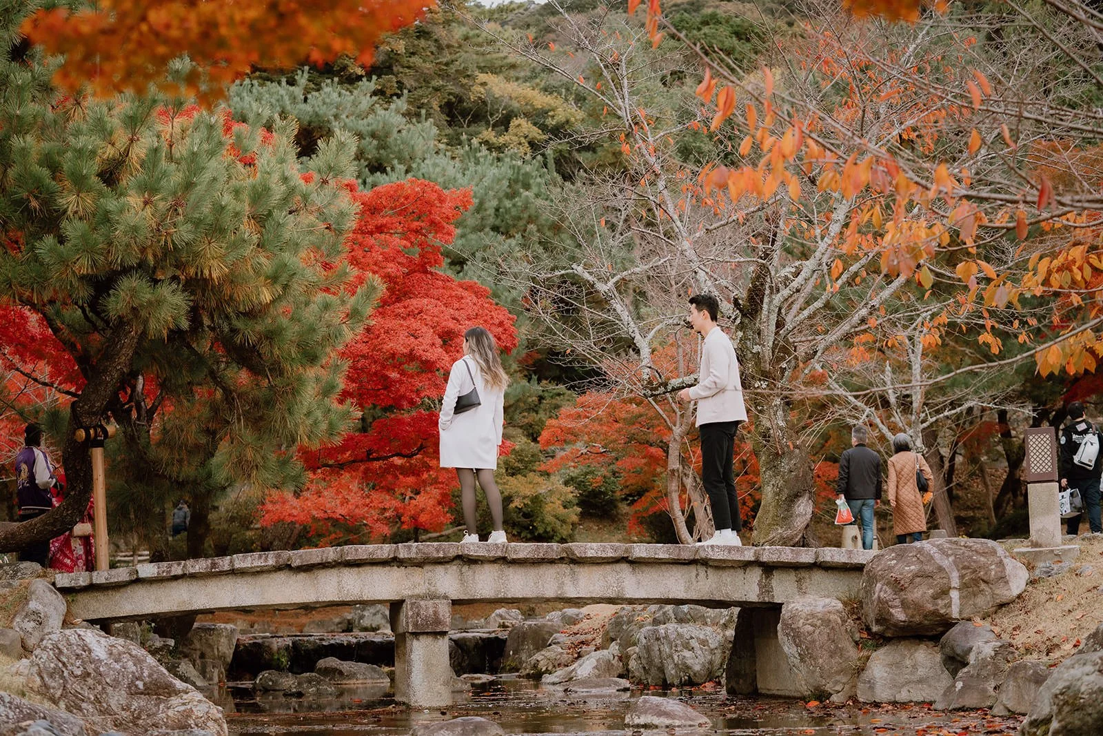 Autumn proposal photography Maruyama Park Kyoto