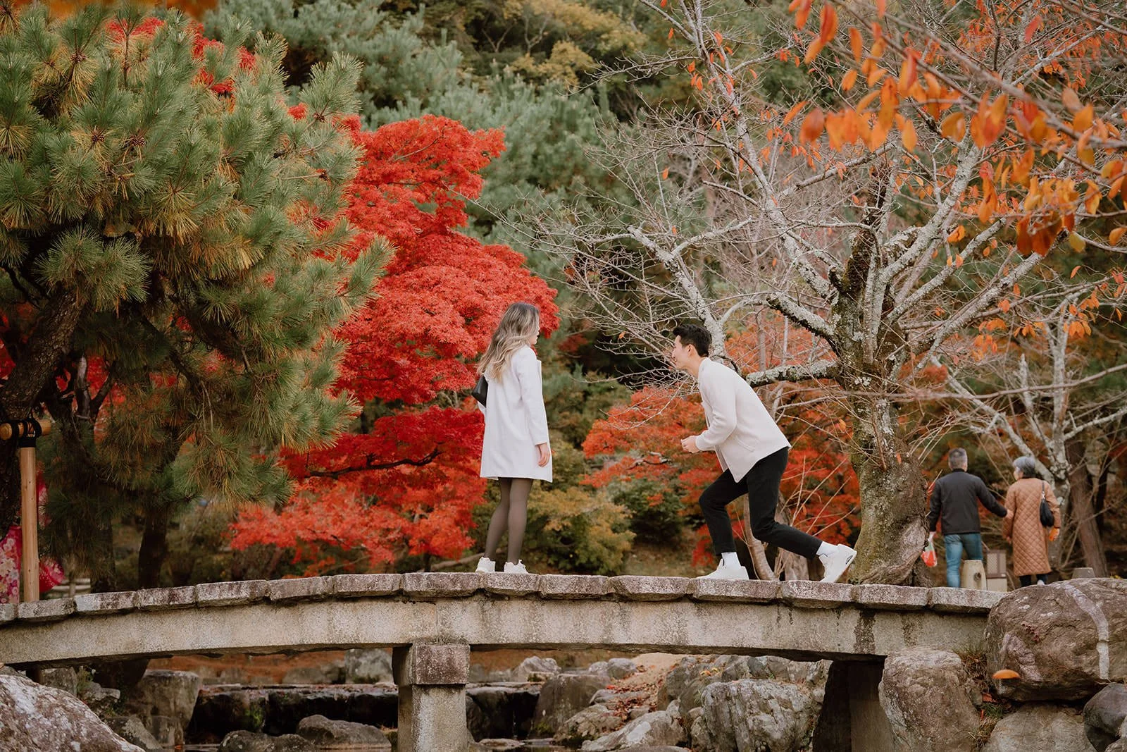 Proposal moment bridge Maruyama Park Kyoto autumn