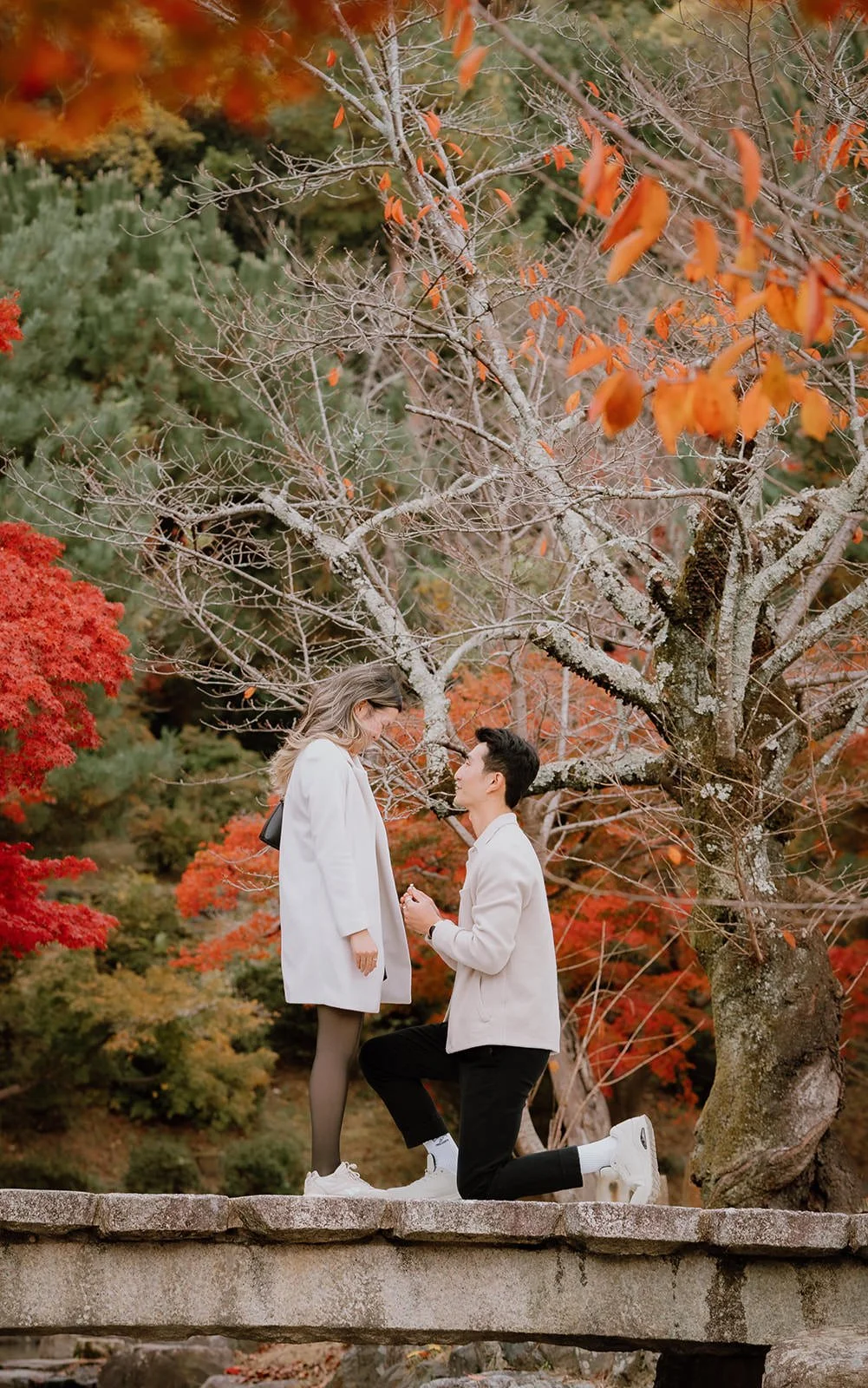 Couple after proposal Maruyama Park Kyoto autumn foliage